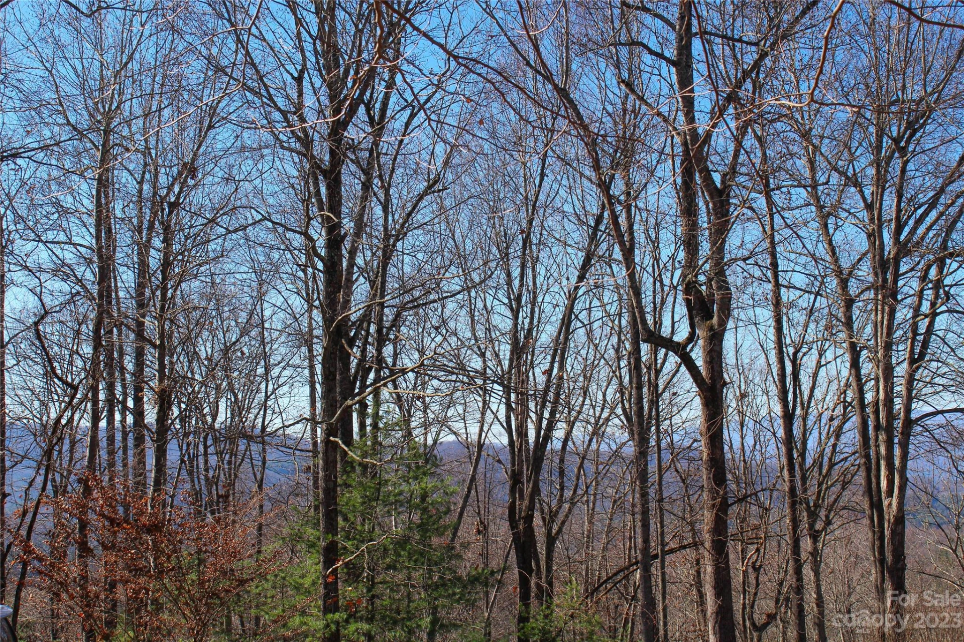 74 Poplar Forest Trace #107 - Photo 4