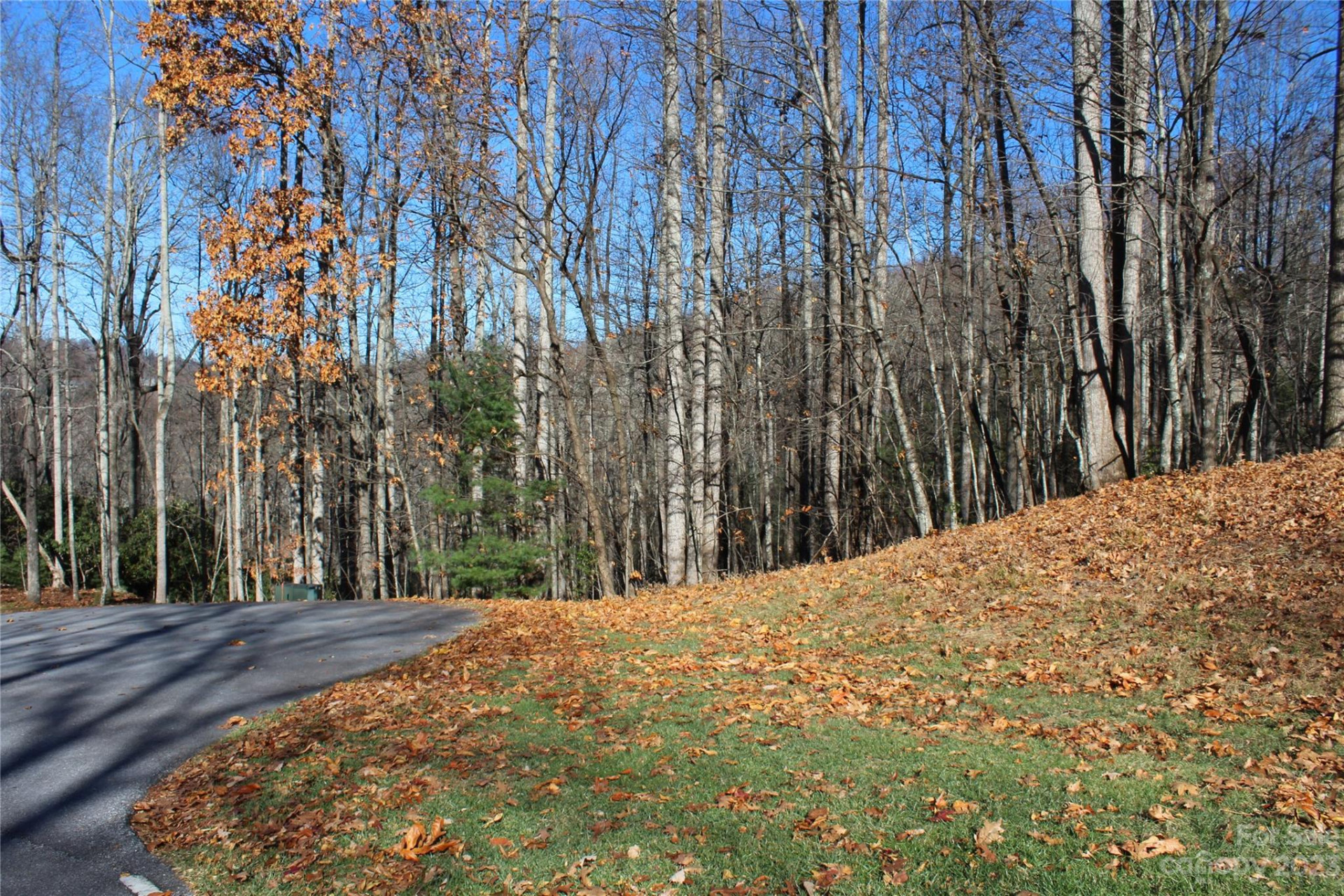 74 Poplar Forest Trace #107 - Photo 5