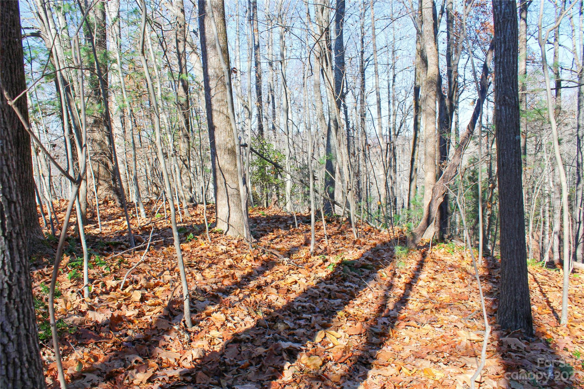 74 Poplar Forest Trace #107 - Photo 6