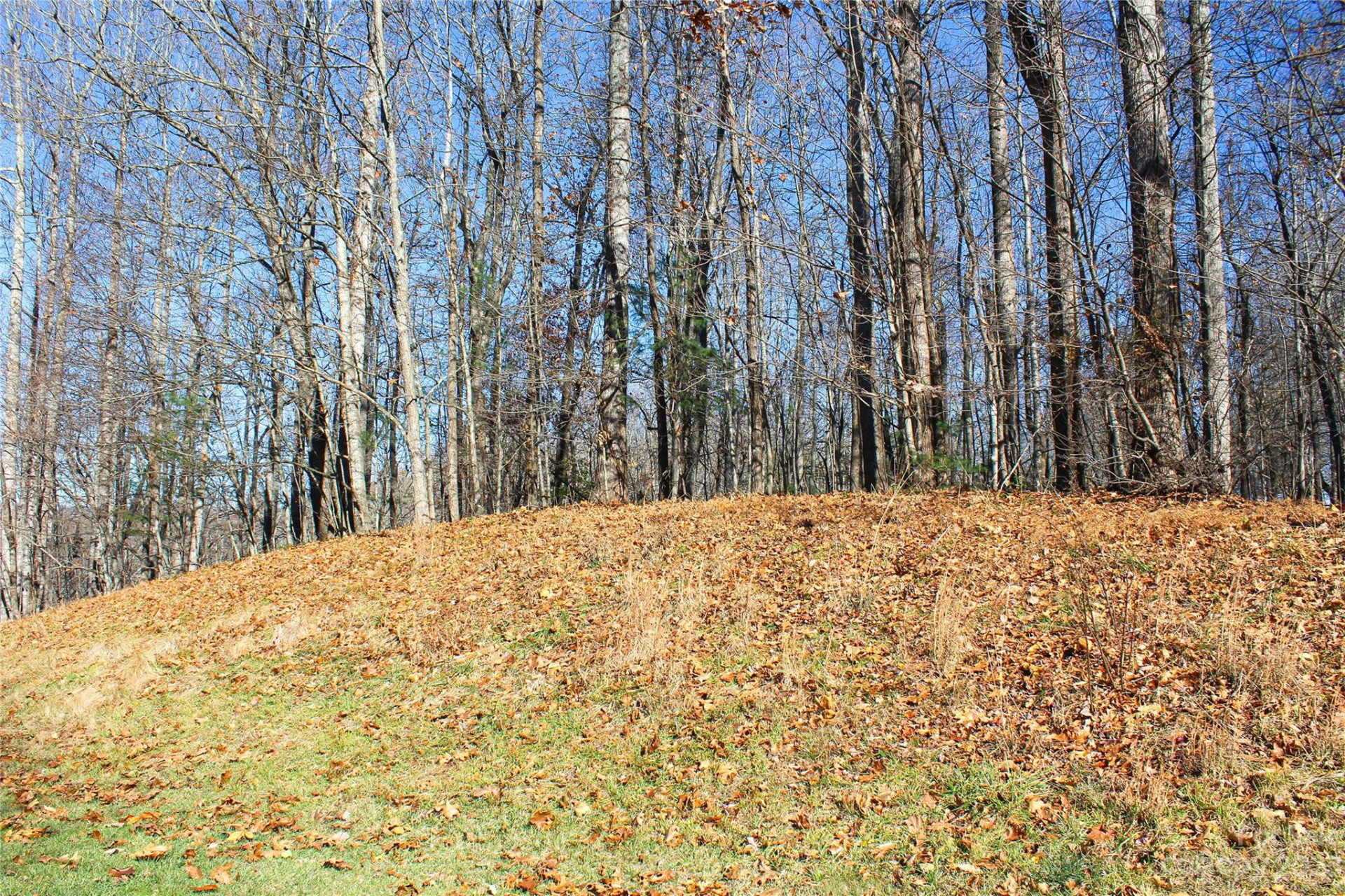 74 Poplar Forest Trace #107 - Photo 7