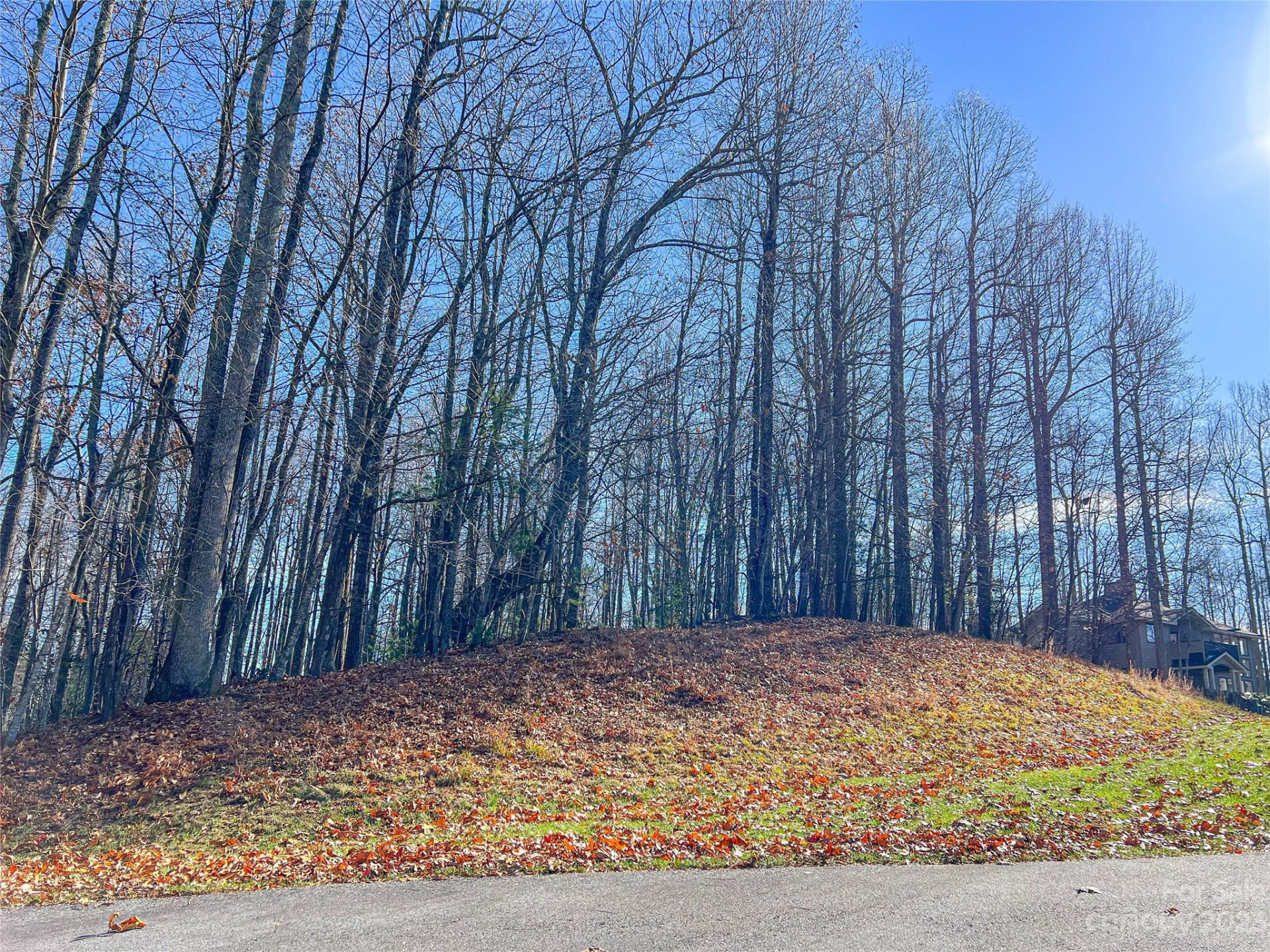 74 Poplar Forest Trace #107 - Photo 8