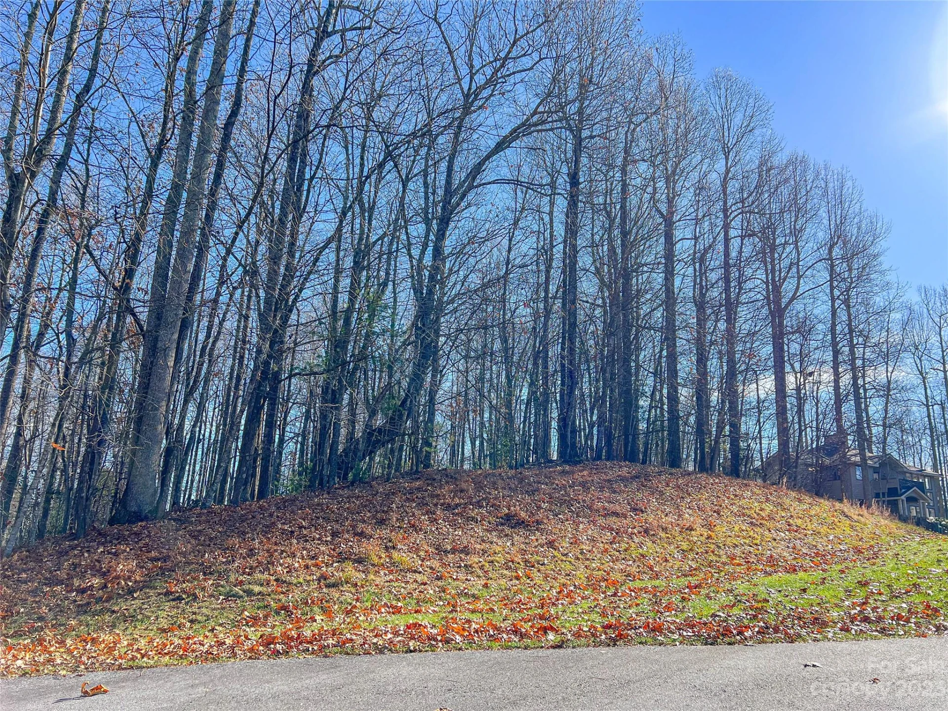 74 Poplar Forest Trace #107 - Photo 8