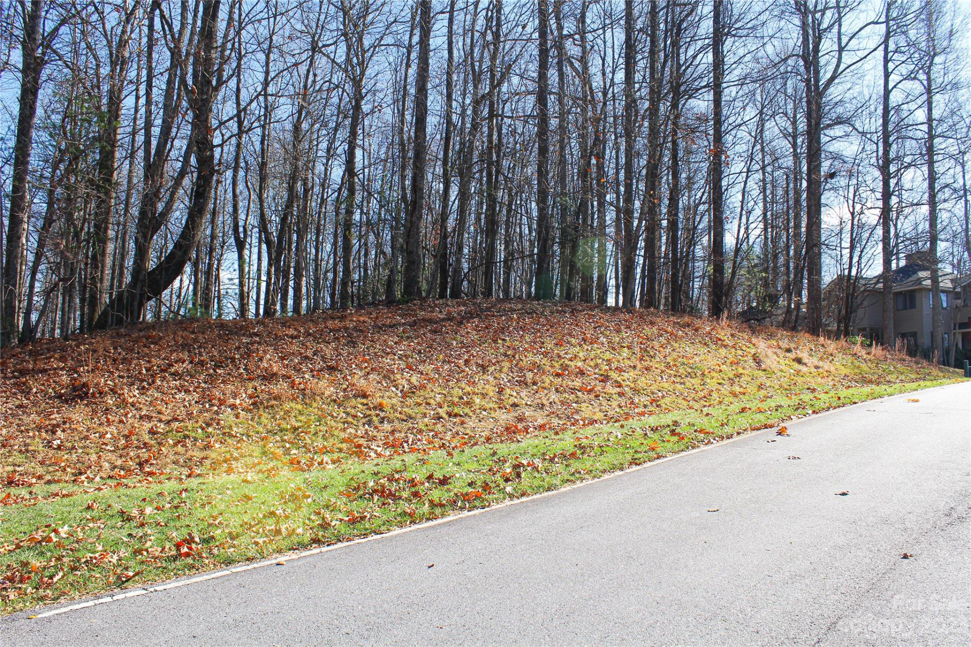 74 Poplar Forest Trace #107 - Photo 9