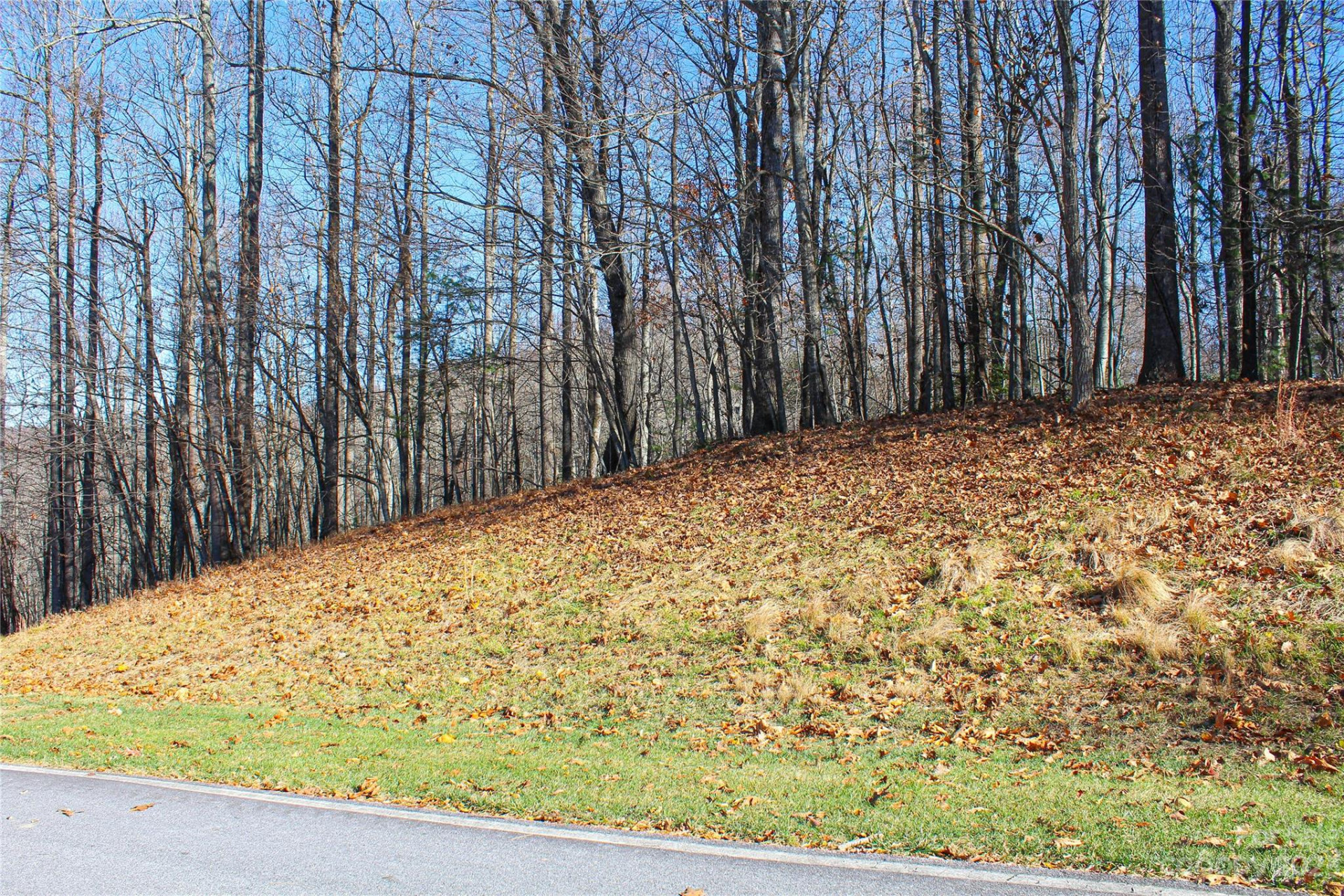 74 Poplar Forest Trace #107 - Photo 10