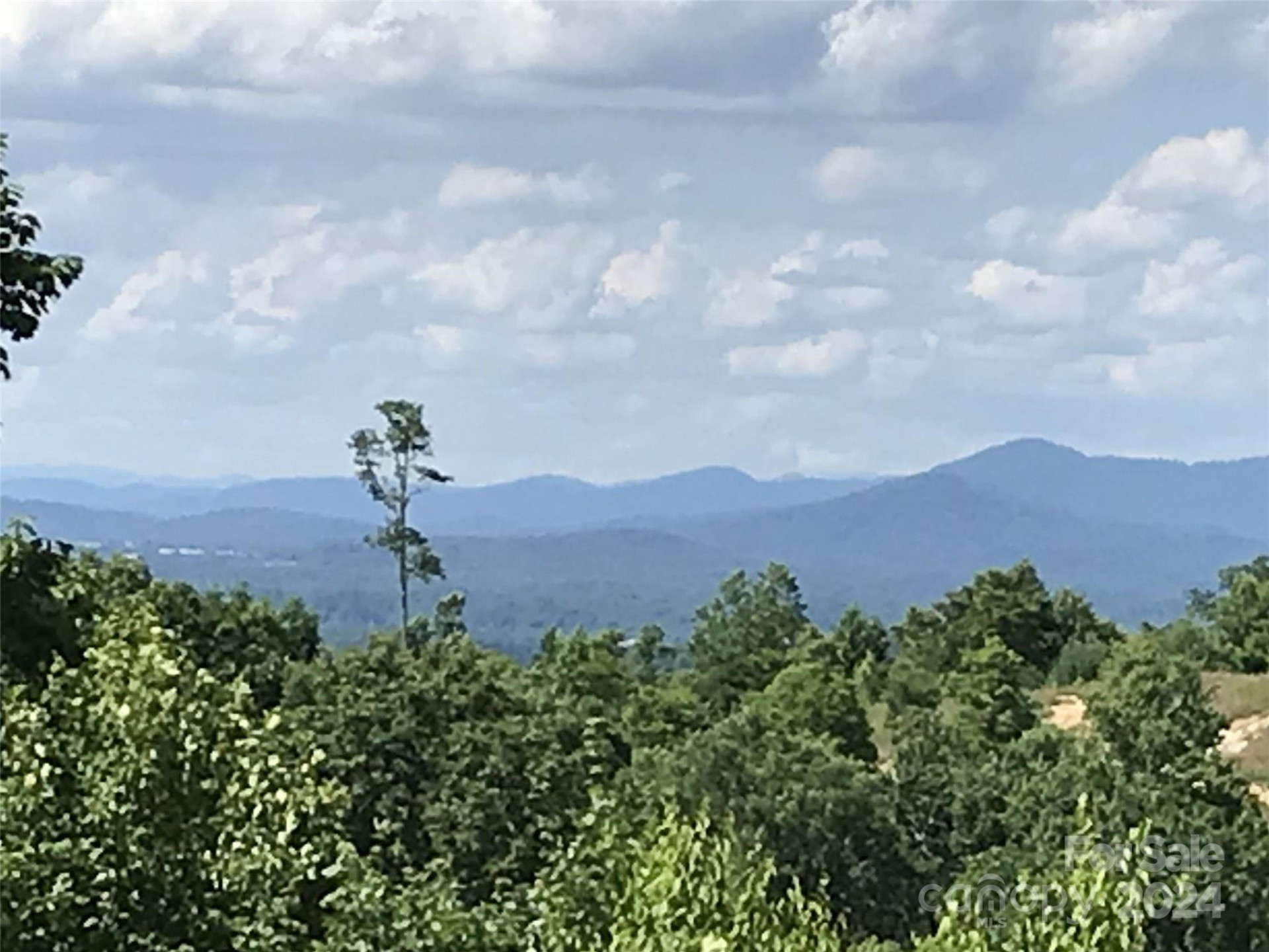 99999 Bay Laurel Lane #1905