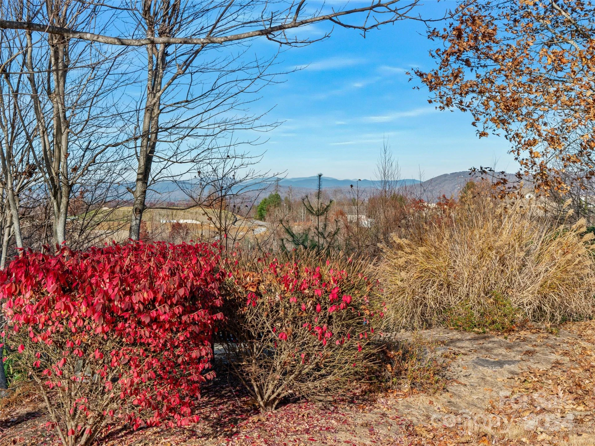 99999 Bay Laurel Lane #1905 - Photo 3