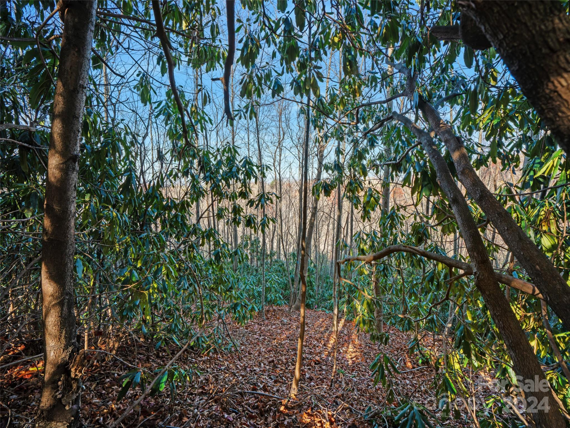 99999 Bay Laurel Lane #1905 - Photo 6