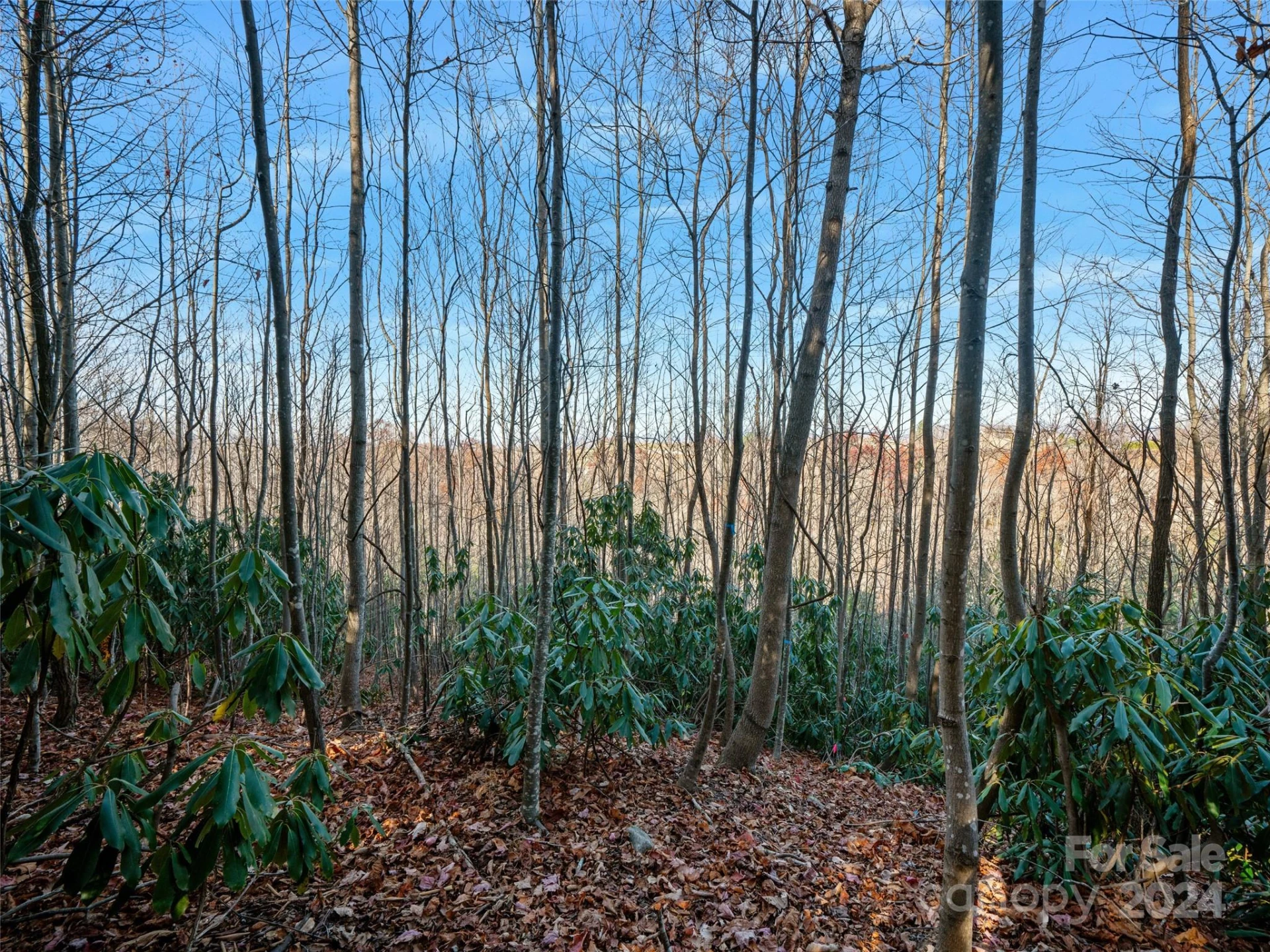 99999 Bay Laurel Lane #1905 - Photo 7