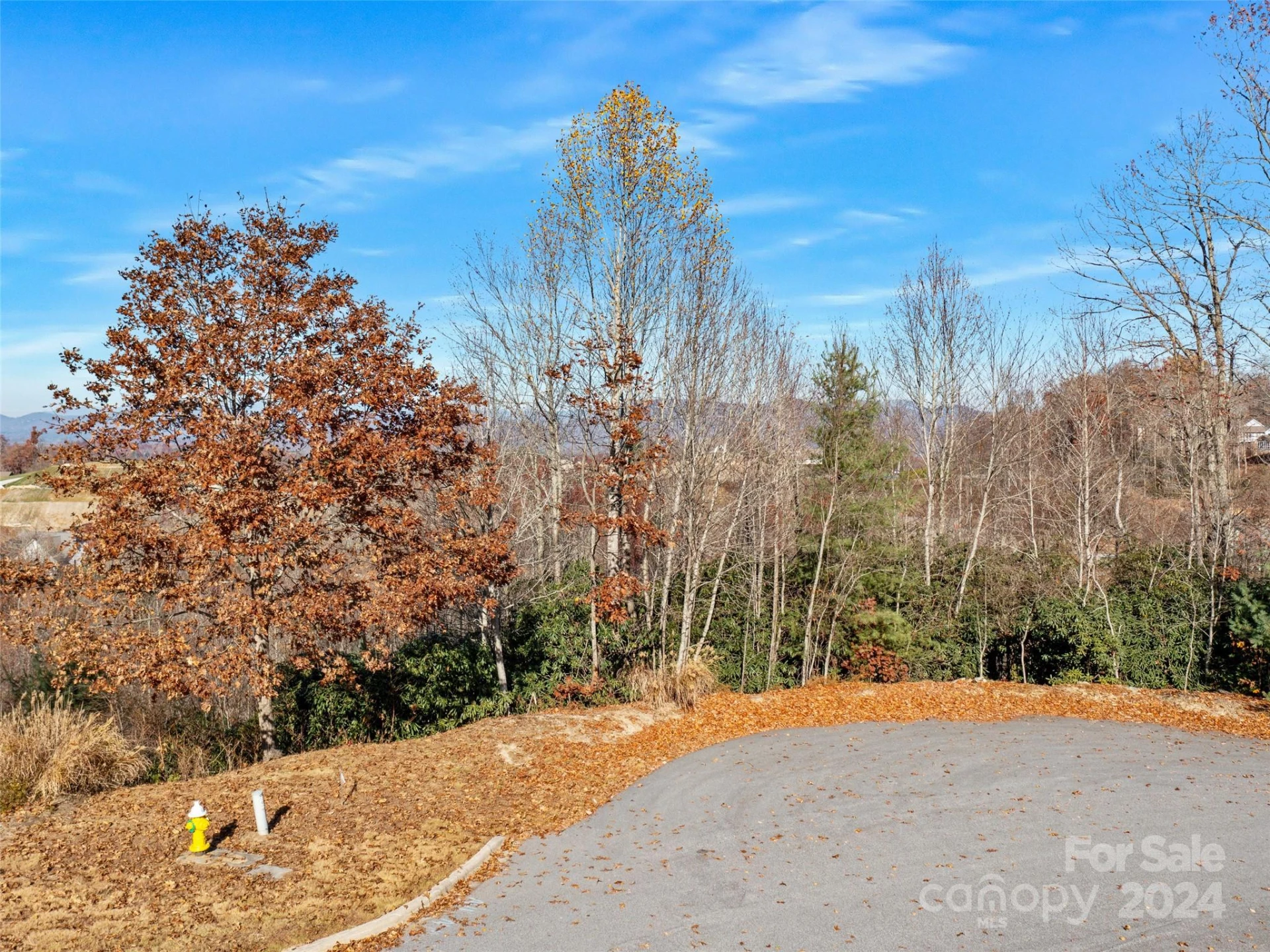 99999 Bay Laurel Lane #1905 - Photo 10