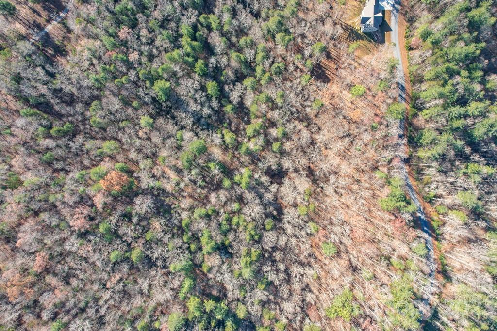 TBD Larkhaven Drive #52-11 - Photo 11