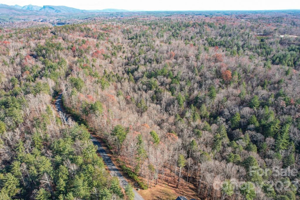 TBD Larkhaven Drive #52-11 - Photo 19