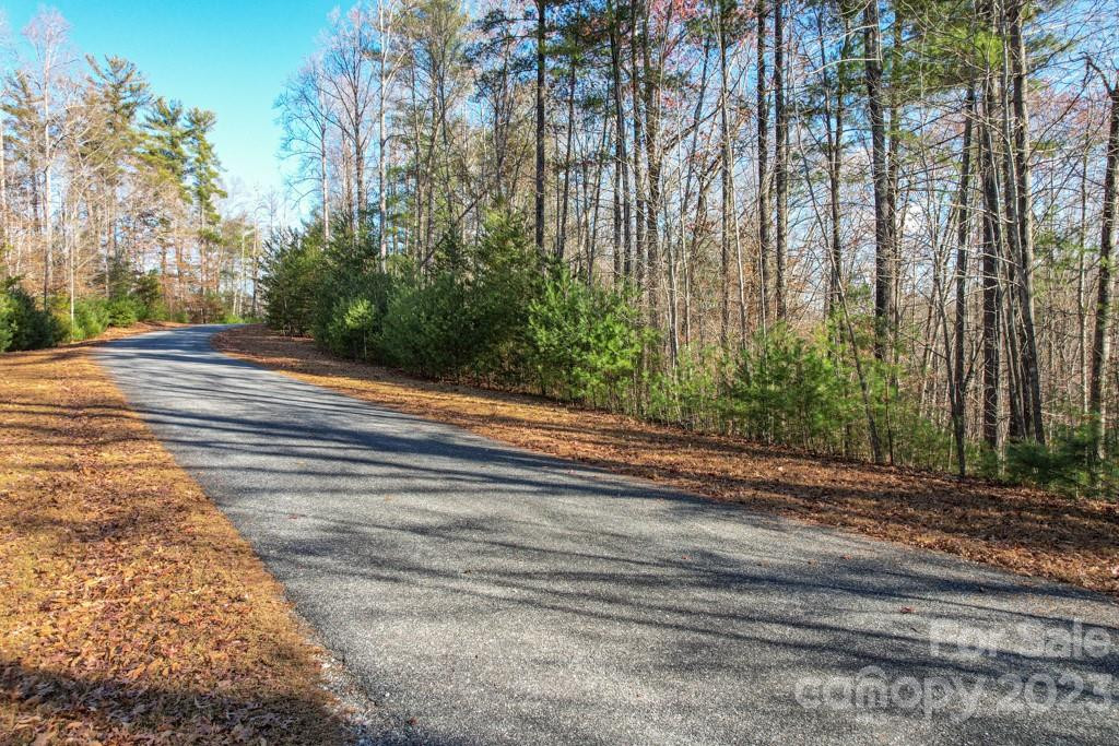 TBD Larkhaven Drive #52-11 - Photo 3