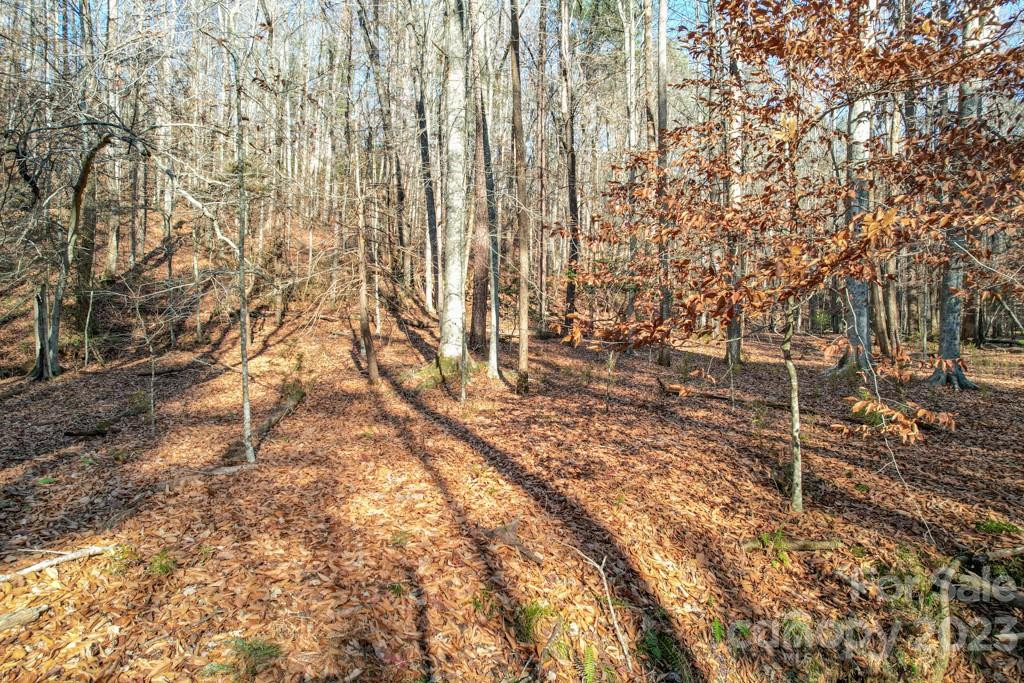 TBD Larkhaven Drive #52-11 - Photo 4