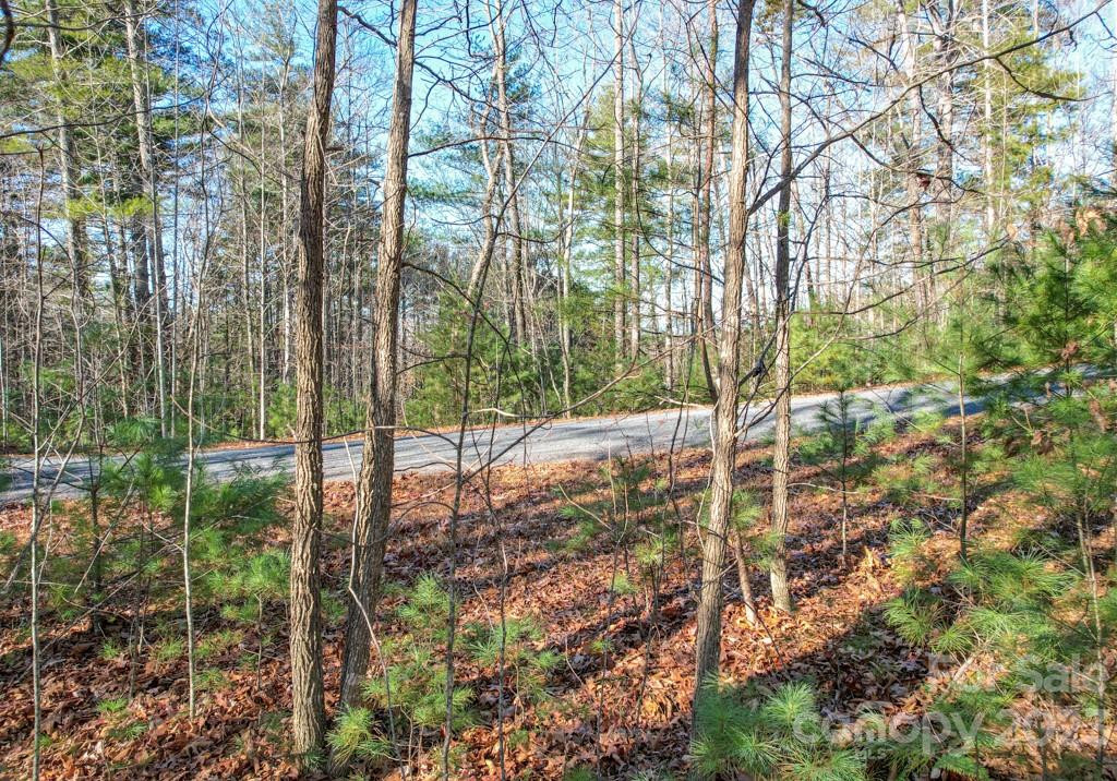 TBD Larkhaven Drive #52-11 - Photo 7