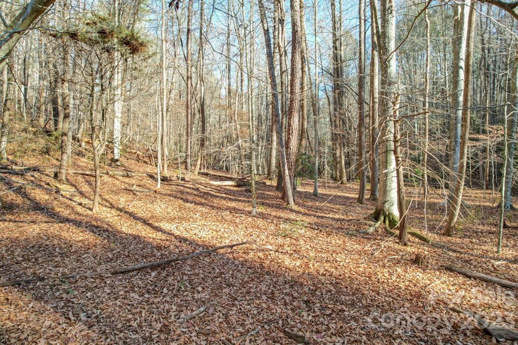 TBD Larkhaven Drive #52-11 - Photo 8