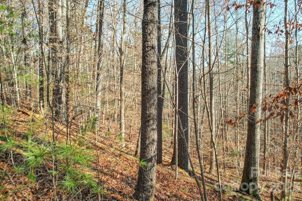 TBD Larkhaven Drive #52-11 - Photo 9