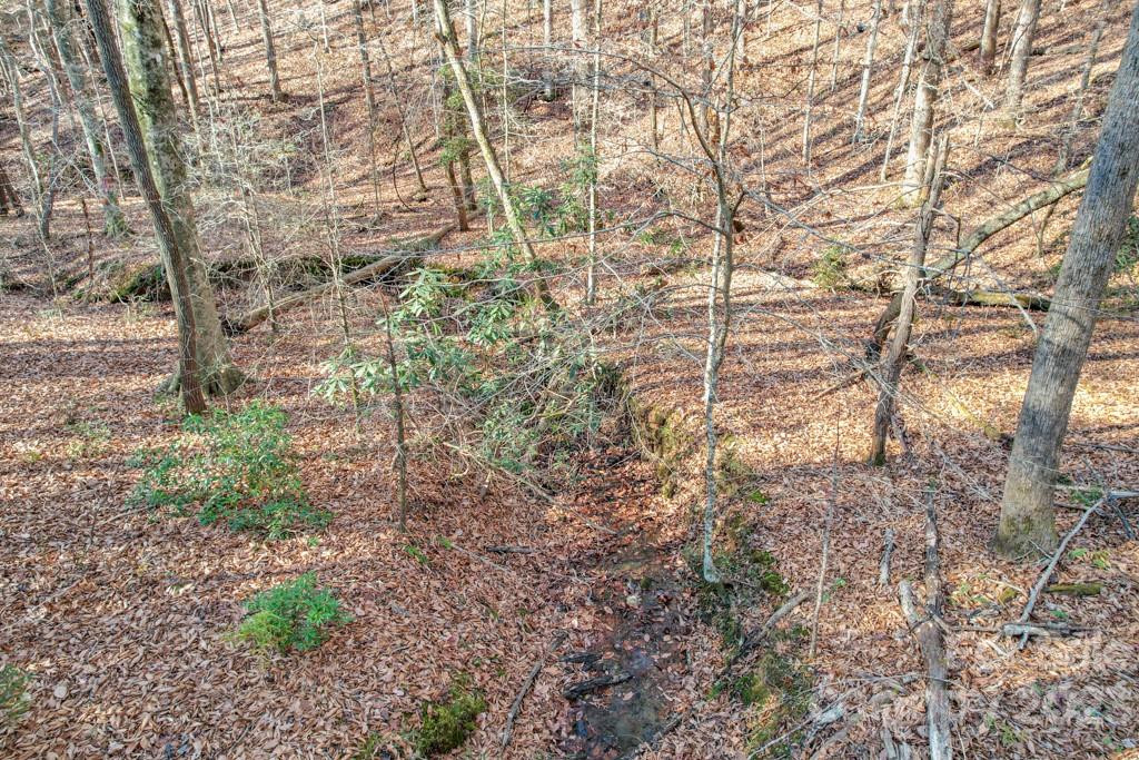 TBD Larkhaven Drive #52-11 - Photo 10