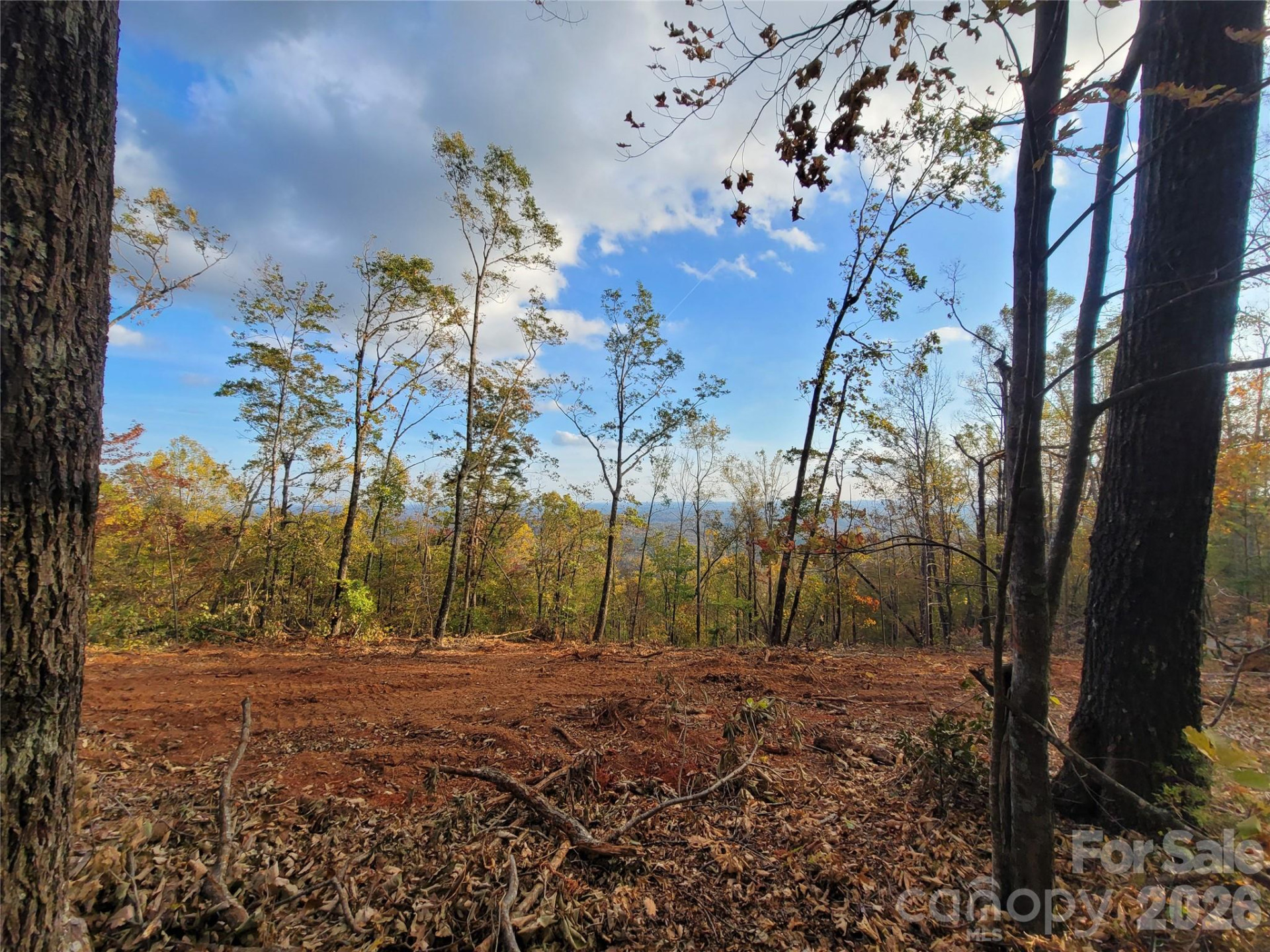 0 Tranquility Trail #47 - Photo 7