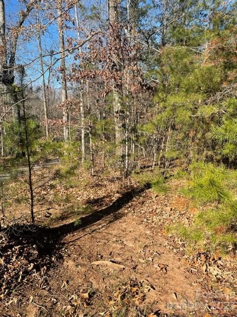 0 Holly Forest Drive - Photo 2
