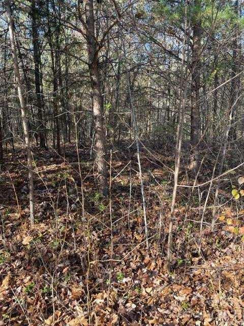 0 Holly Forest Drive - Photo 3