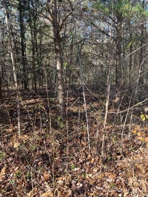 0 Holly Forest Drive - Photo 3