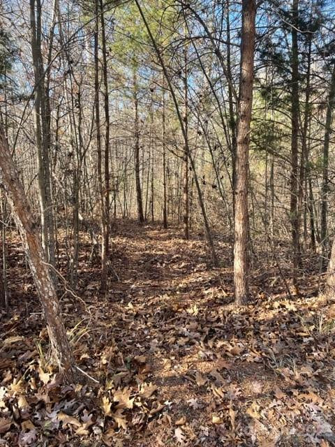 0 Holly Forest Drive - Photo 4
