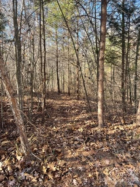 0 Holly Forest Drive - Photo 4