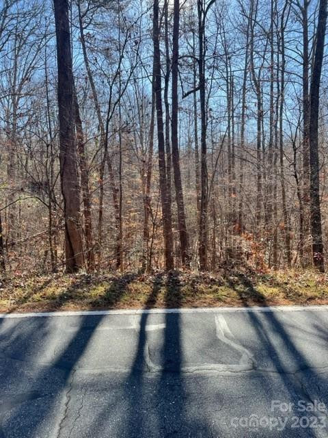 0 Holly Forest Drive - Photo 6
