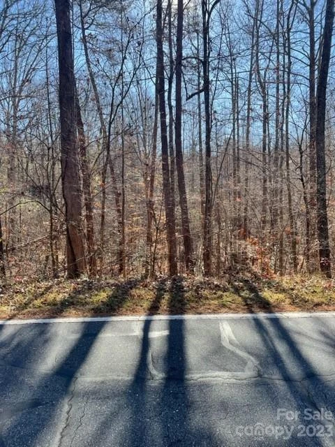 0 Holly Forest Drive - Photo 6