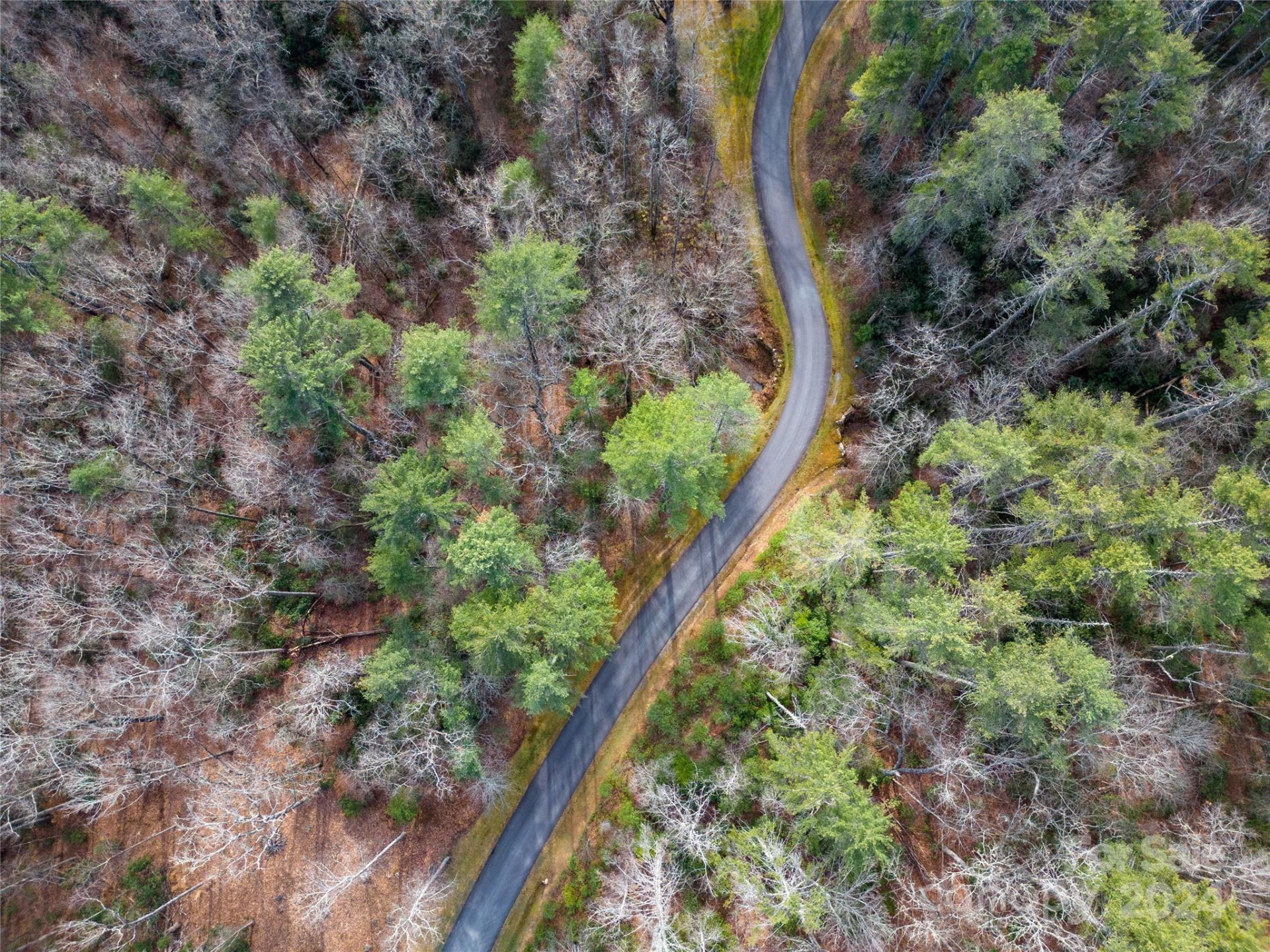 Lot 12 Rockbrook Overlook - Photo 2