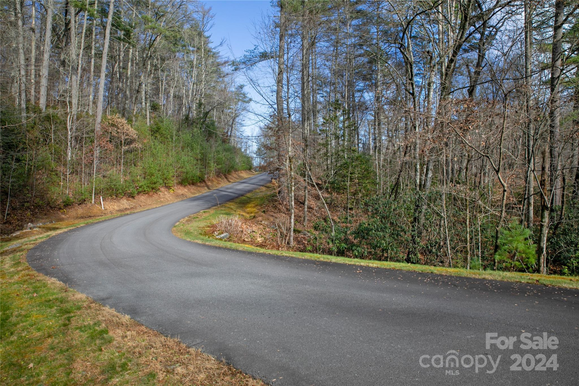 Lot 12 Rockbrook Overlook - Photo 3