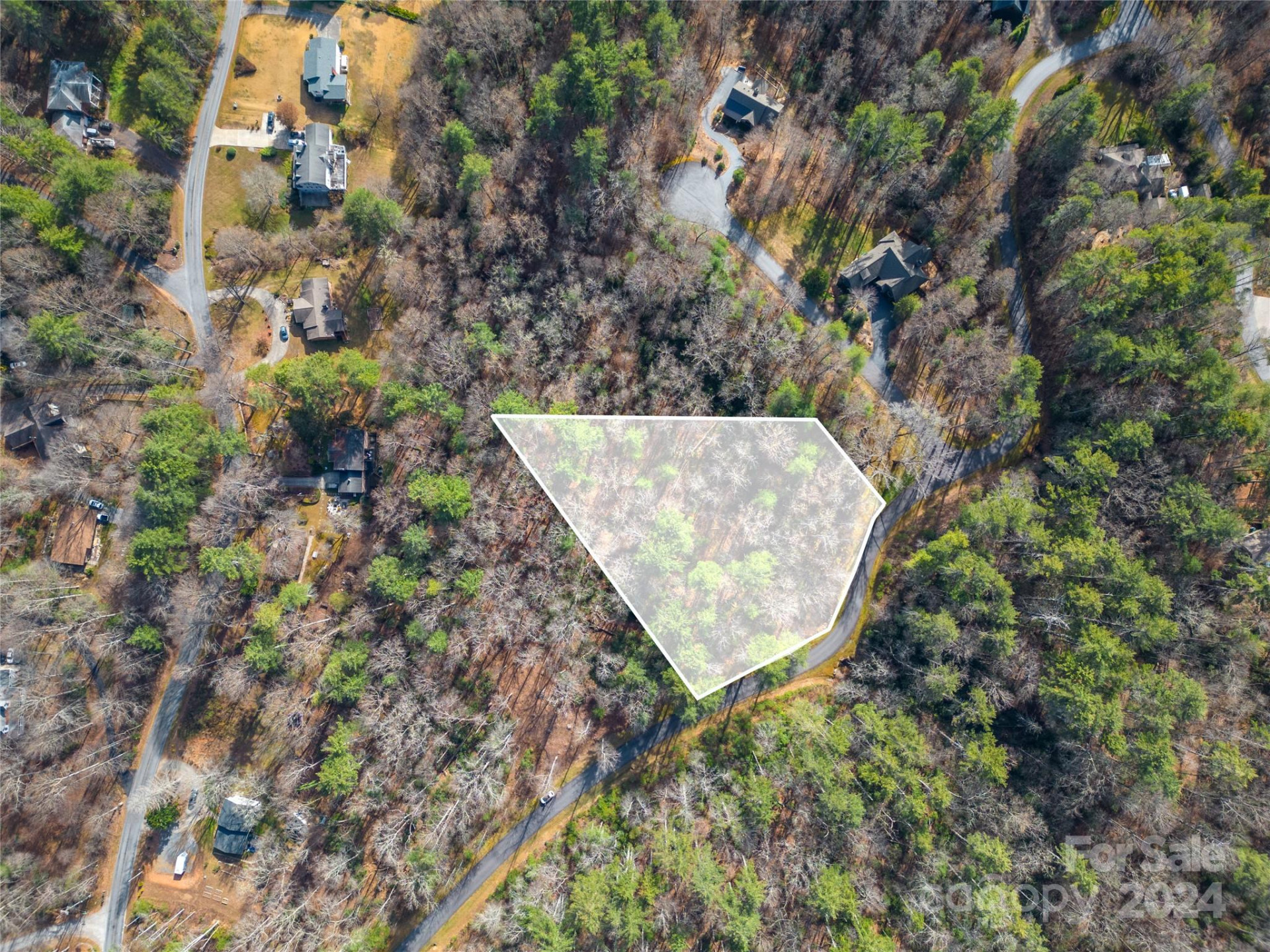 Lot 12 Rockbrook Overlook - Photo 4