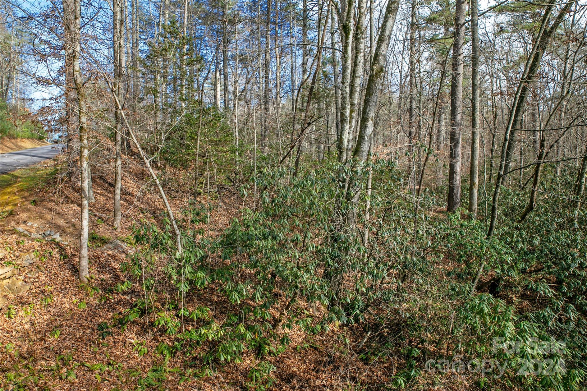 Lot 12 Rockbrook Overlook - Photo 9