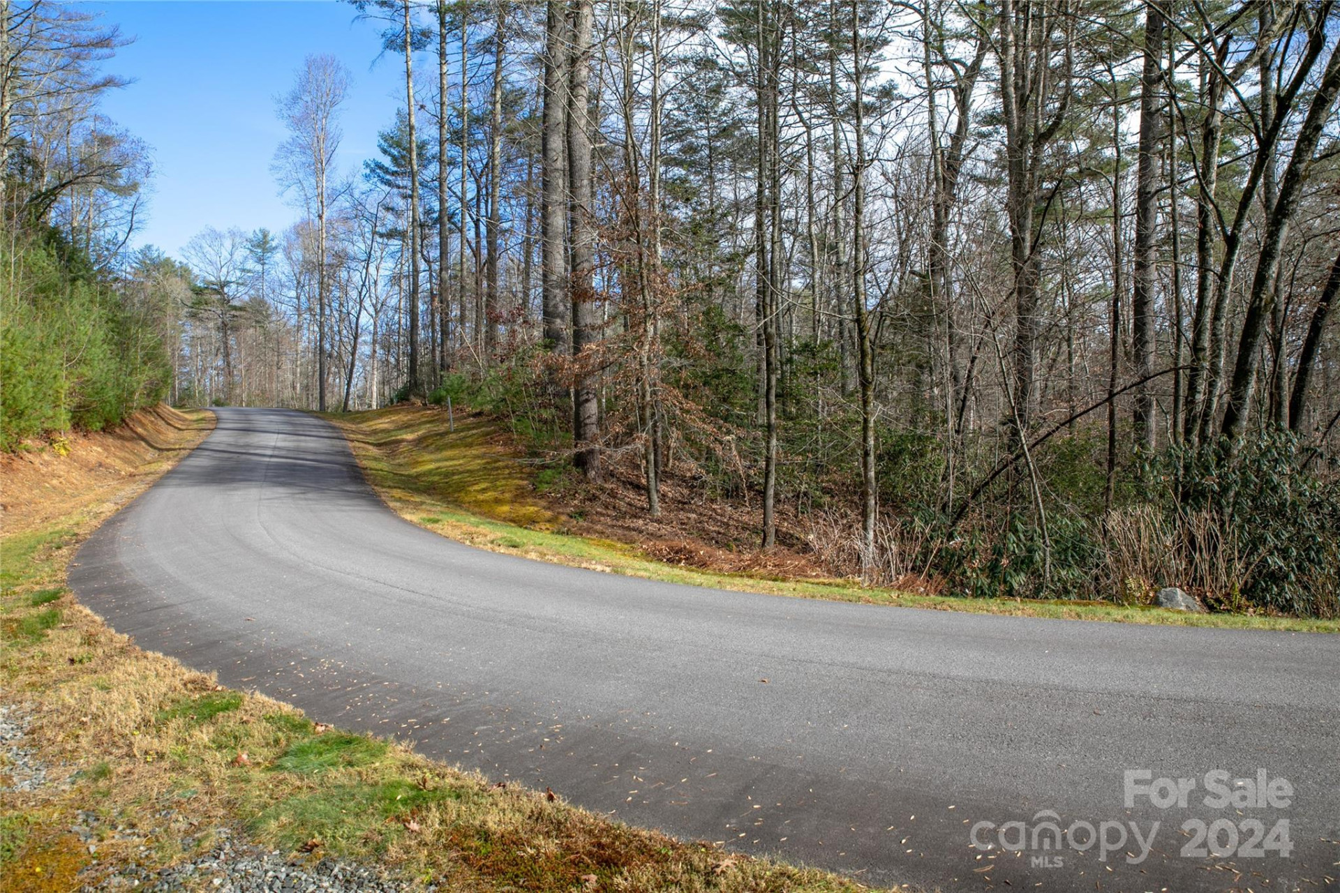 Lot 12 Rockbrook Overlook - Photo 10