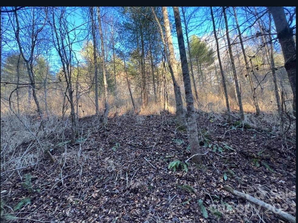 000 Grapevine Road - Photo 2