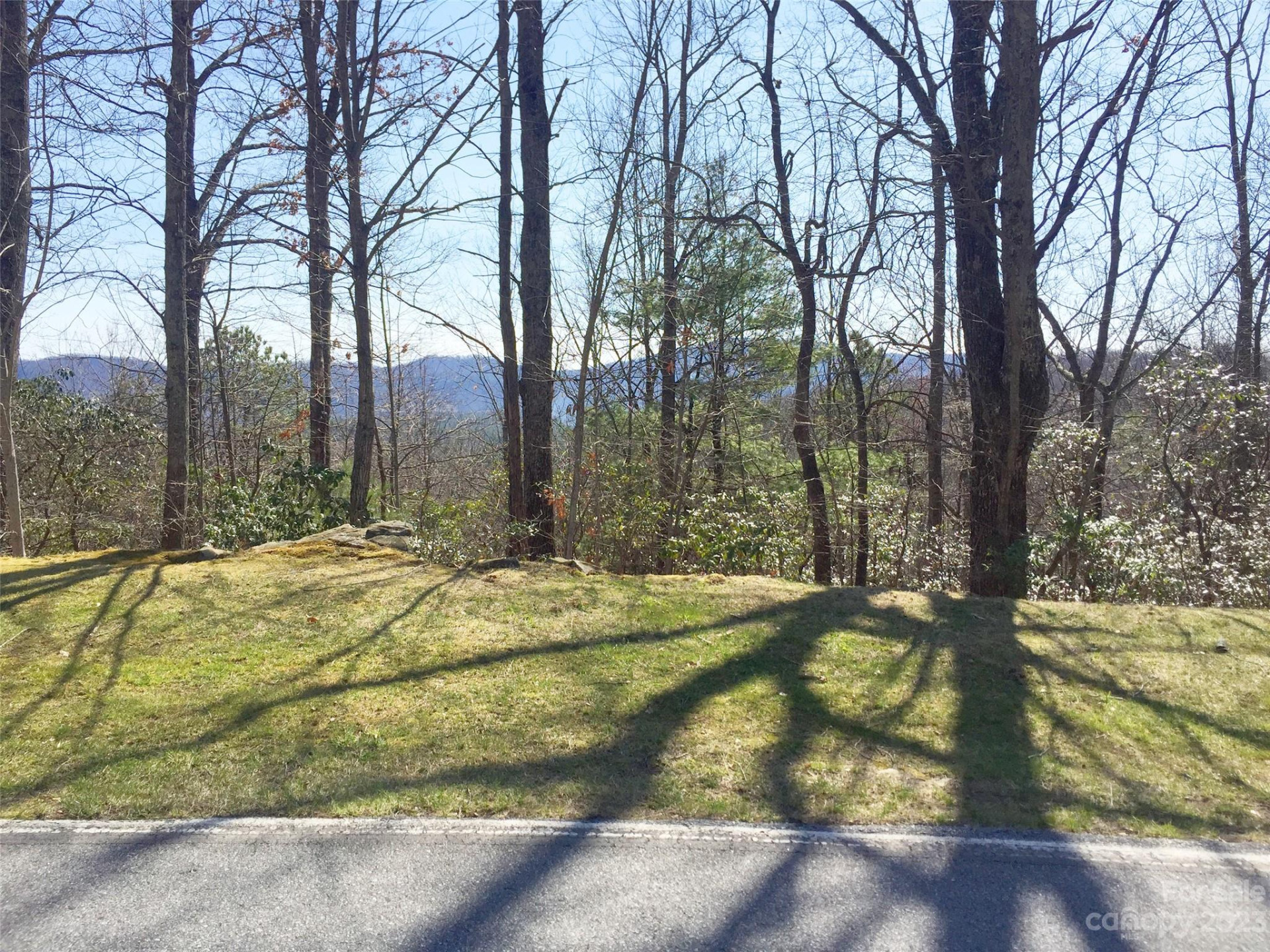 102 Bollers Knob Lane #91 - Photo 14
