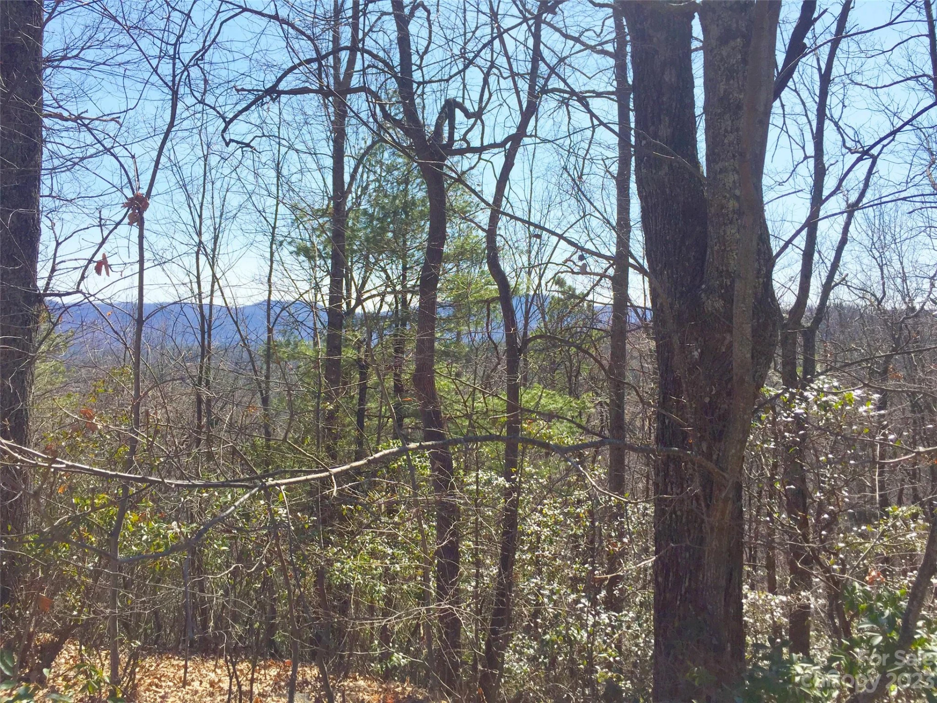 102 Bollers Knob Lane #91 - Photo 15
