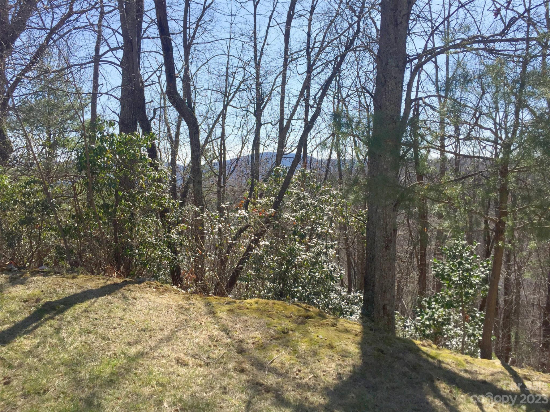 102 Bollers Knob Lane #91 - Photo 16