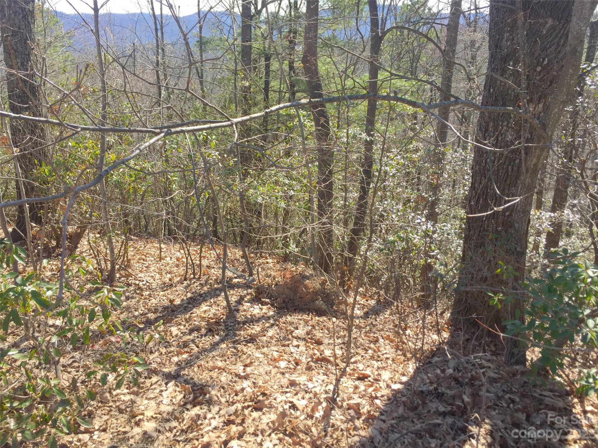 102 Bollers Knob Lane #91 - Photo 17