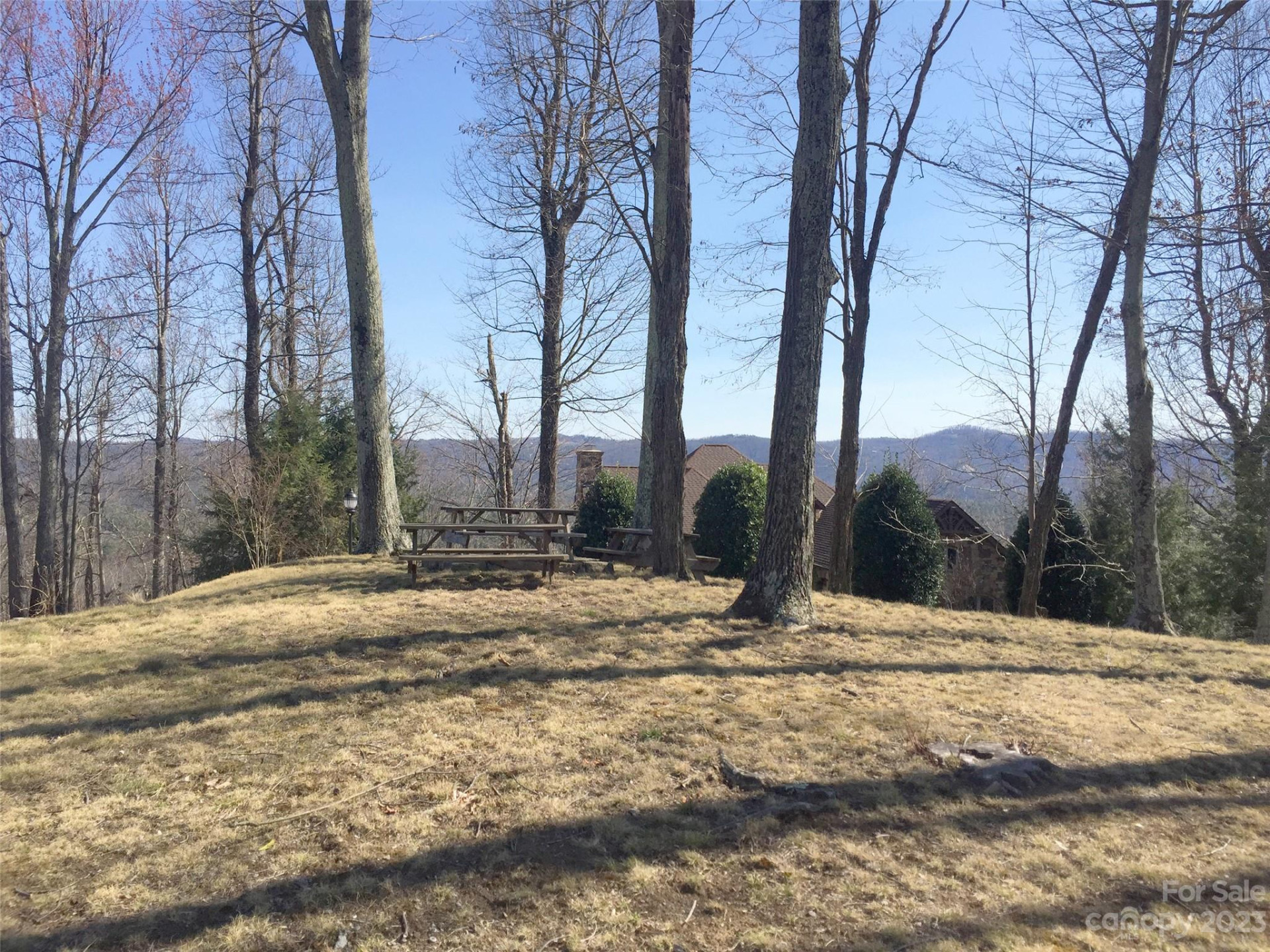 102 Bollers Knob Lane #91 - Photo 19