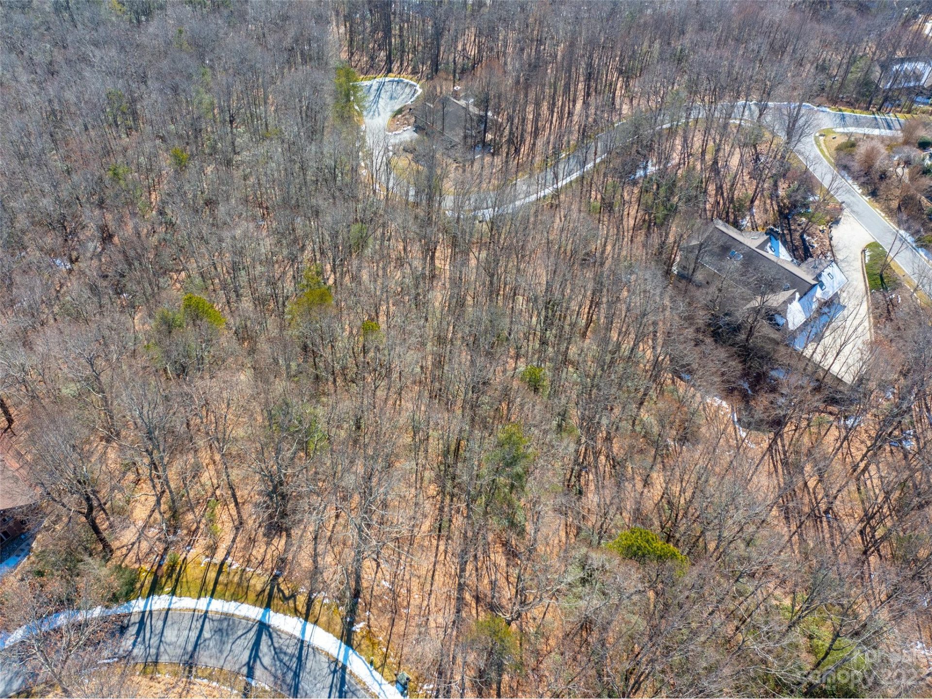 102 Bollers Knob Lane #91 - Photo 10