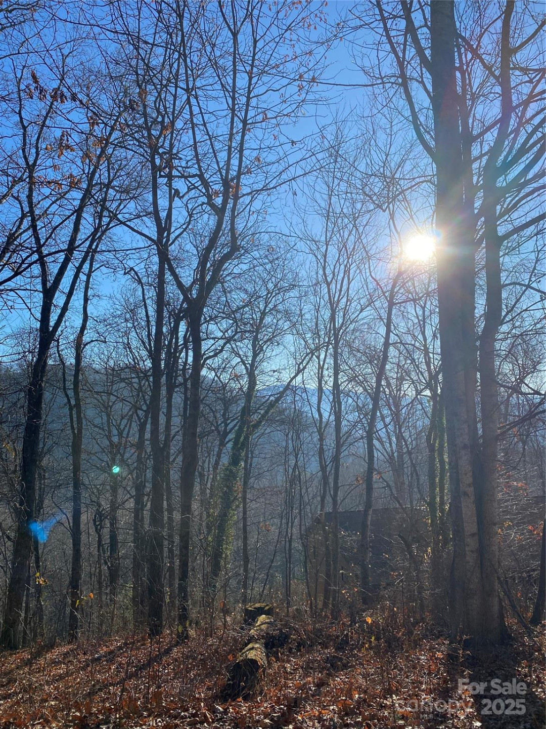 000 Wash Freeman Road - Photo 2