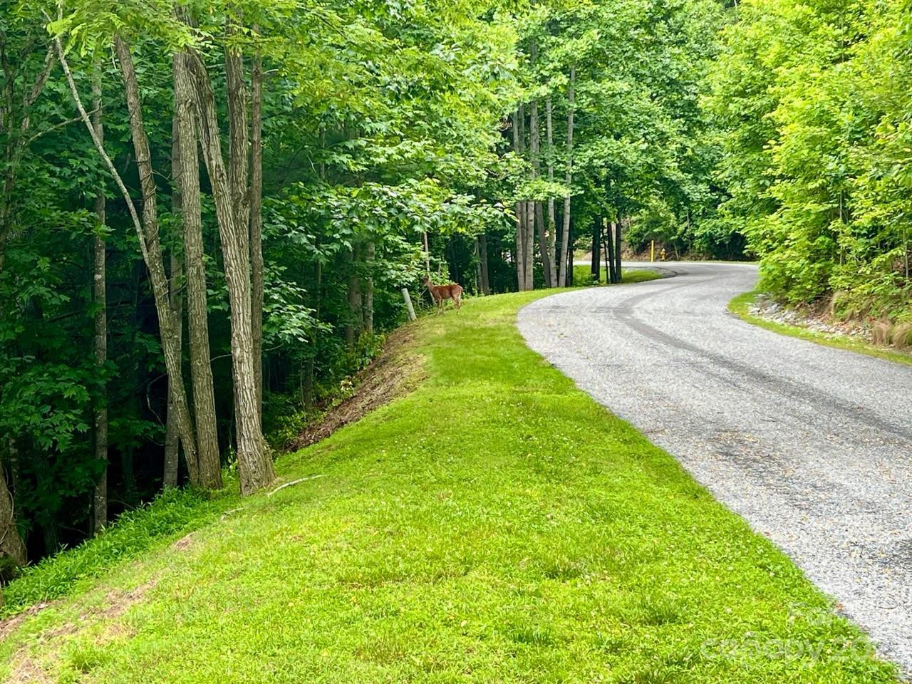 150 Thistlewynd Trail - Photo 2