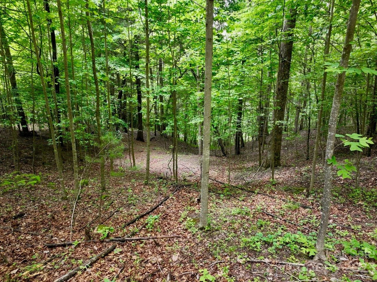 150 Thistlewynd Trail - Photo 4