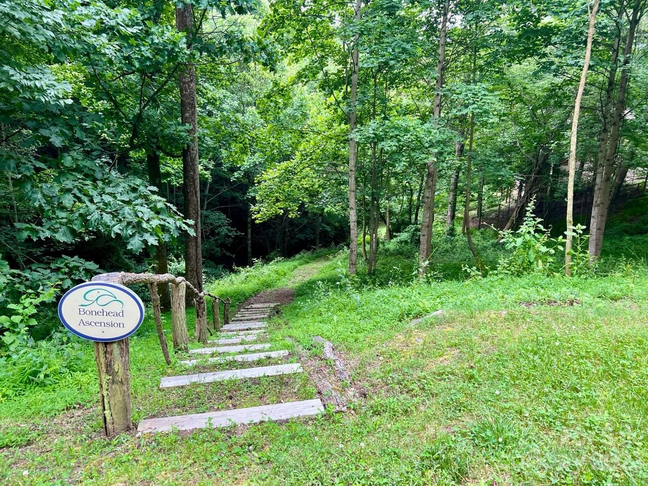 150 Thistlewynd Trail - Photo 7