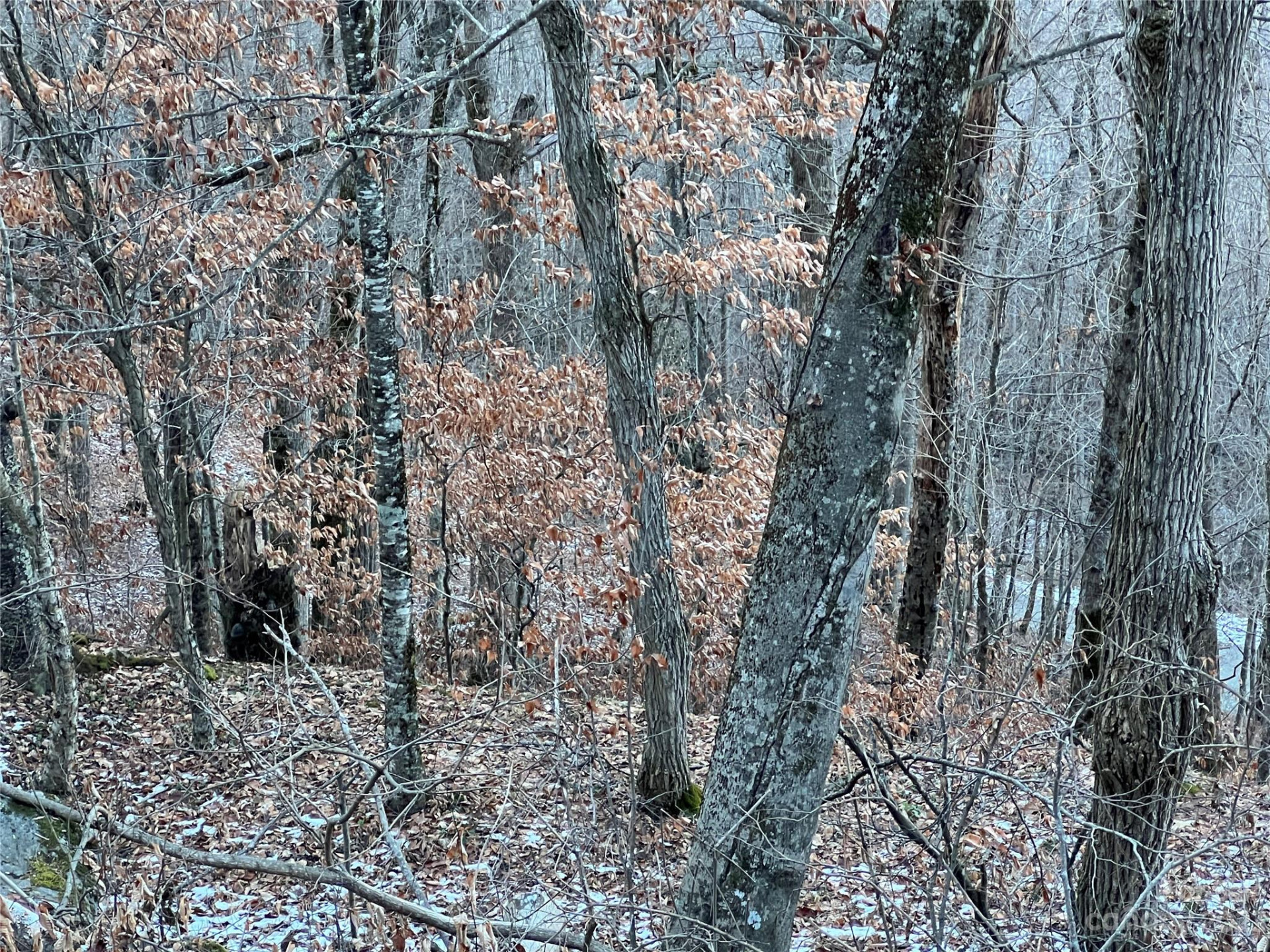 000 Weaver Lane #182