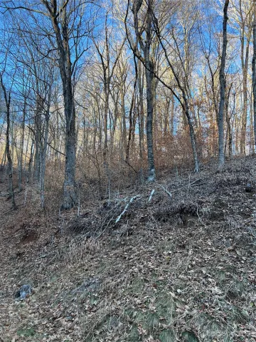 000 Chestnut Lane