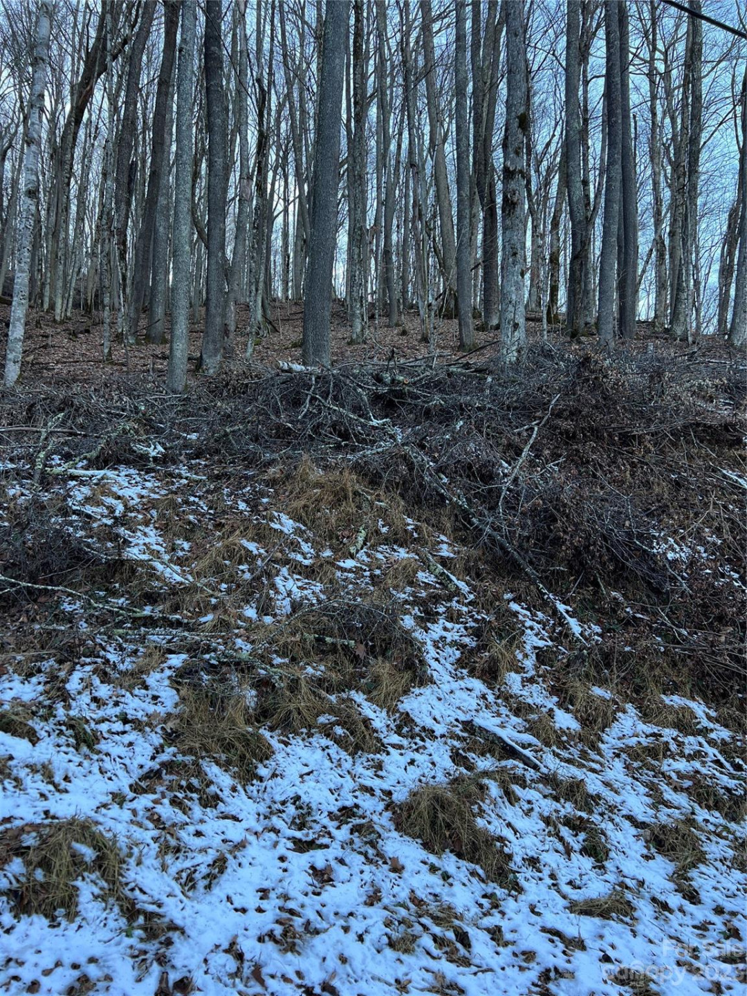 000 Puncheon Lane #151