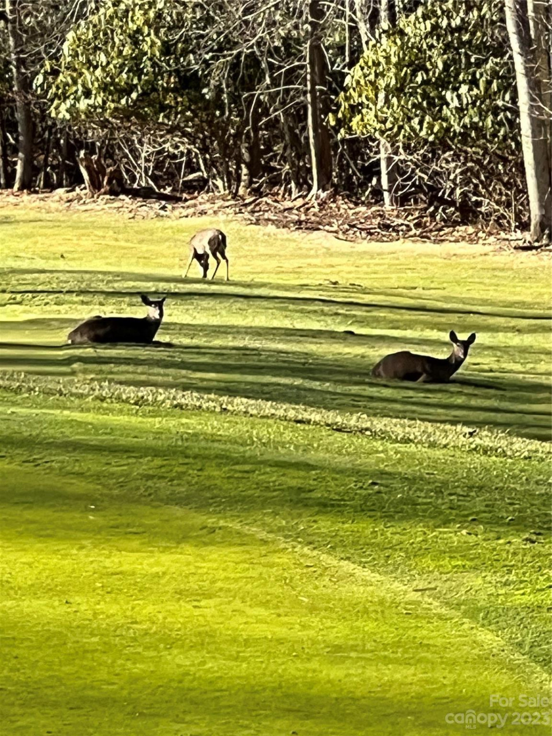 000 Puncheon Lane #170 - Photo 4