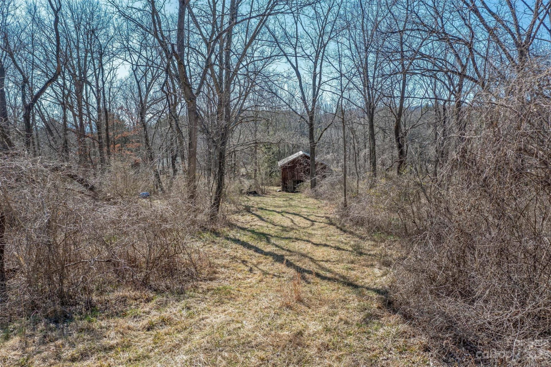 815 Emma Road - Photo 12